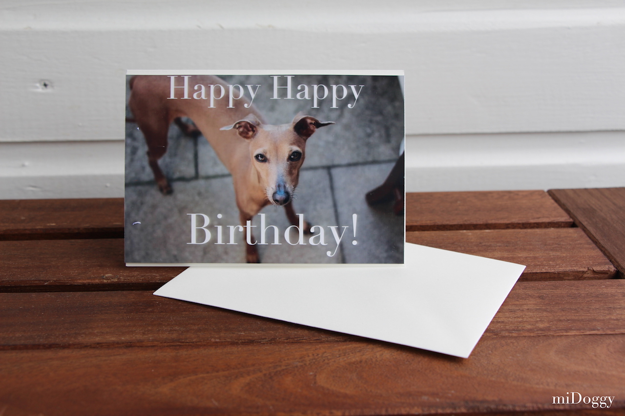 Hundeblog miDoggy - DIY Geburtstagskarten