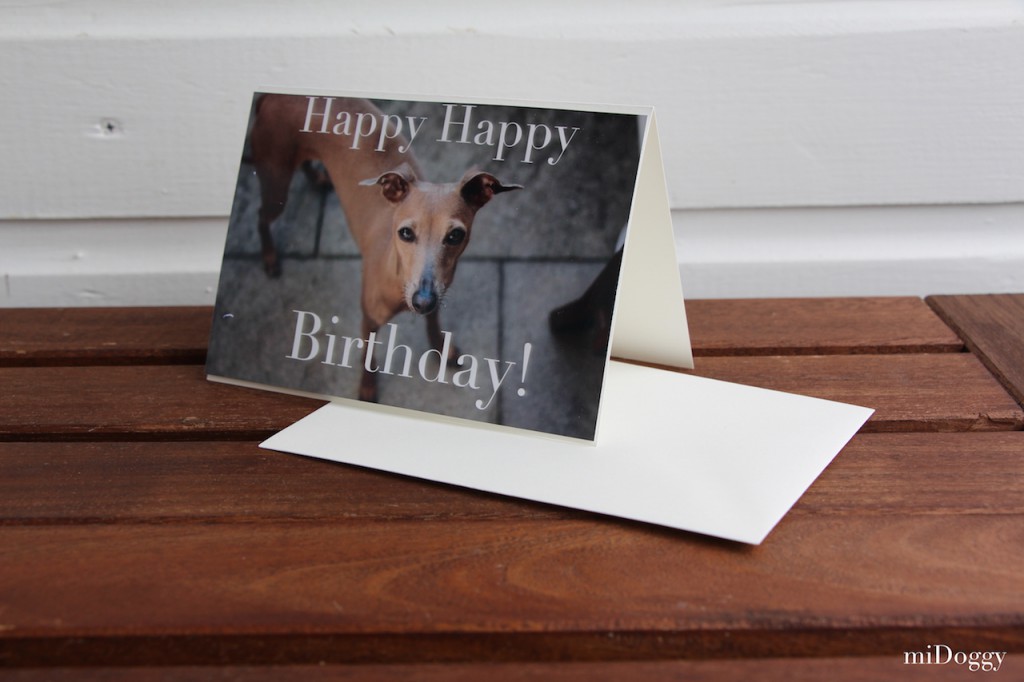 Hundeblog miDoggy - DIY Geburtstagskarten