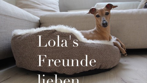 Lola's Freunde lieben Hundeblog miDoggy