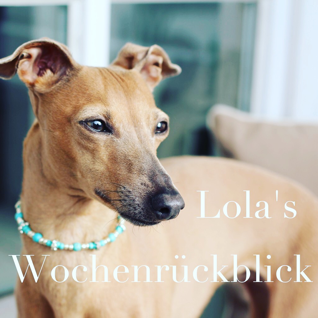 Lola's Wochenrückblick