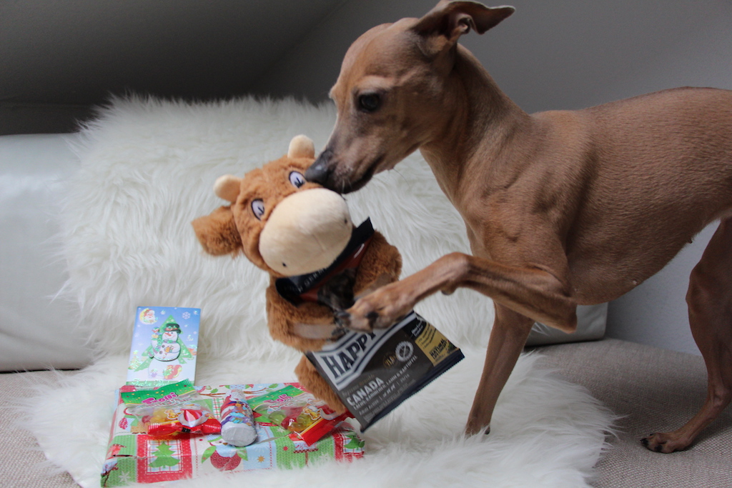 Wichteln Weihnachten 2015 Hundeblog miDoggy