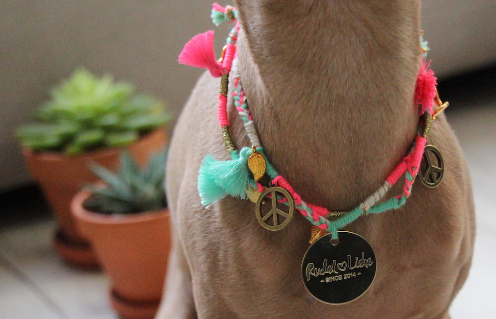 Halskette für Hunde Rudel Liebe Hundbelog miDoggy