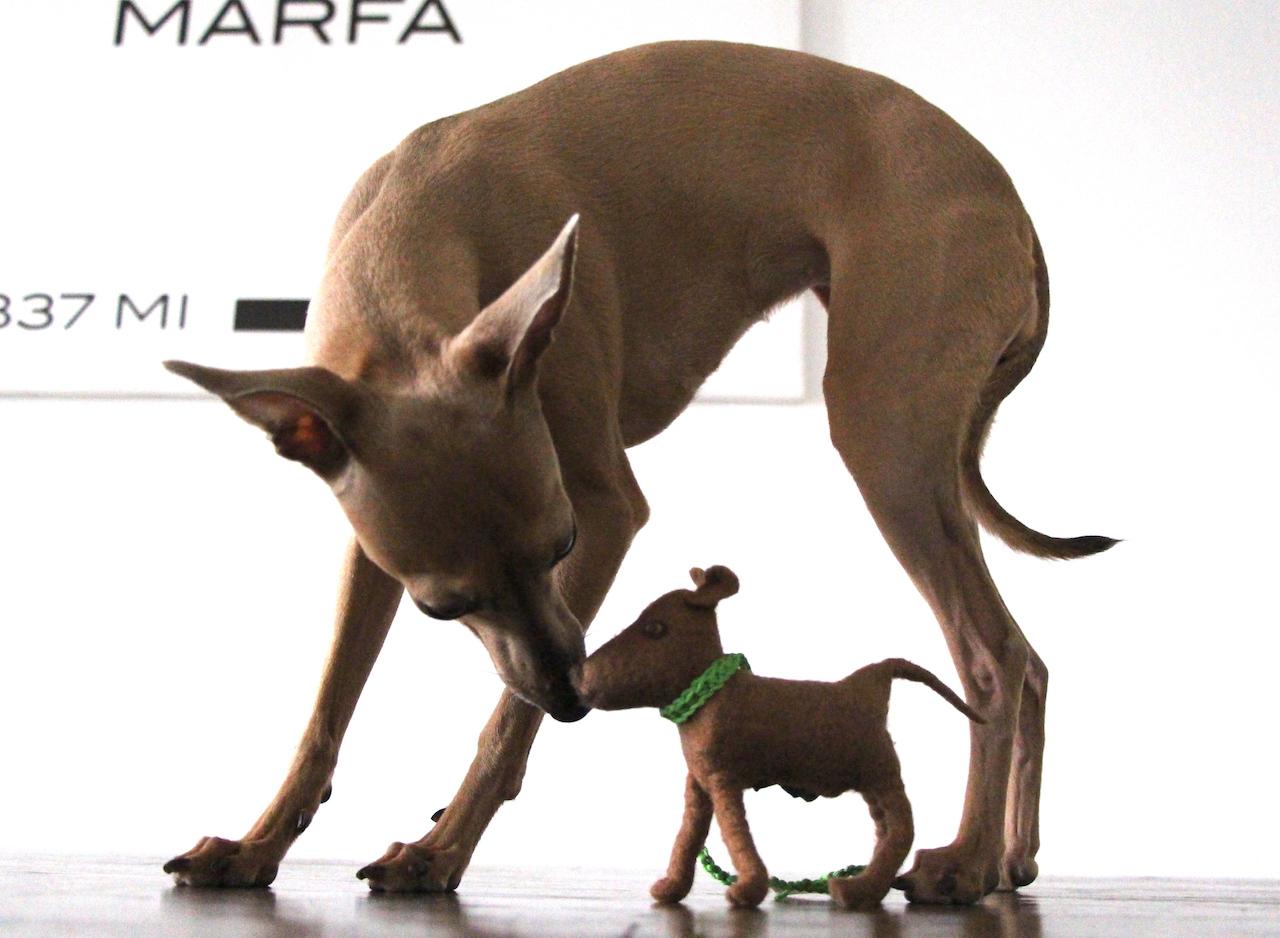 Kotbeutelspender personalisiert Filz-Land Hundeblog miDoggy