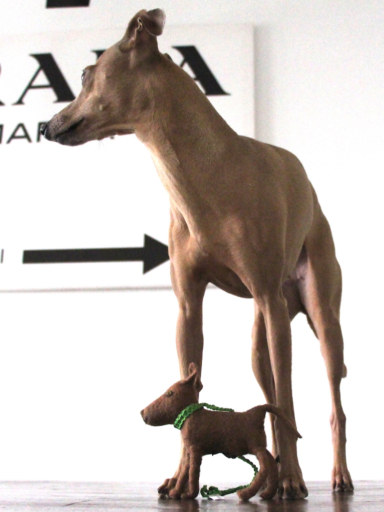Kotbeutelspender personalisiert Filz-Land Hundeblog miDoggy