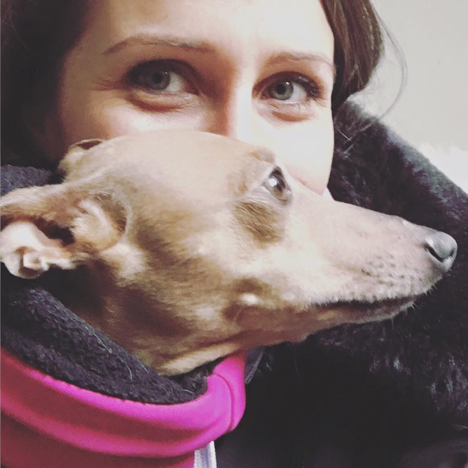 Lola's Wochenrückblick Hundeblog miDoggy