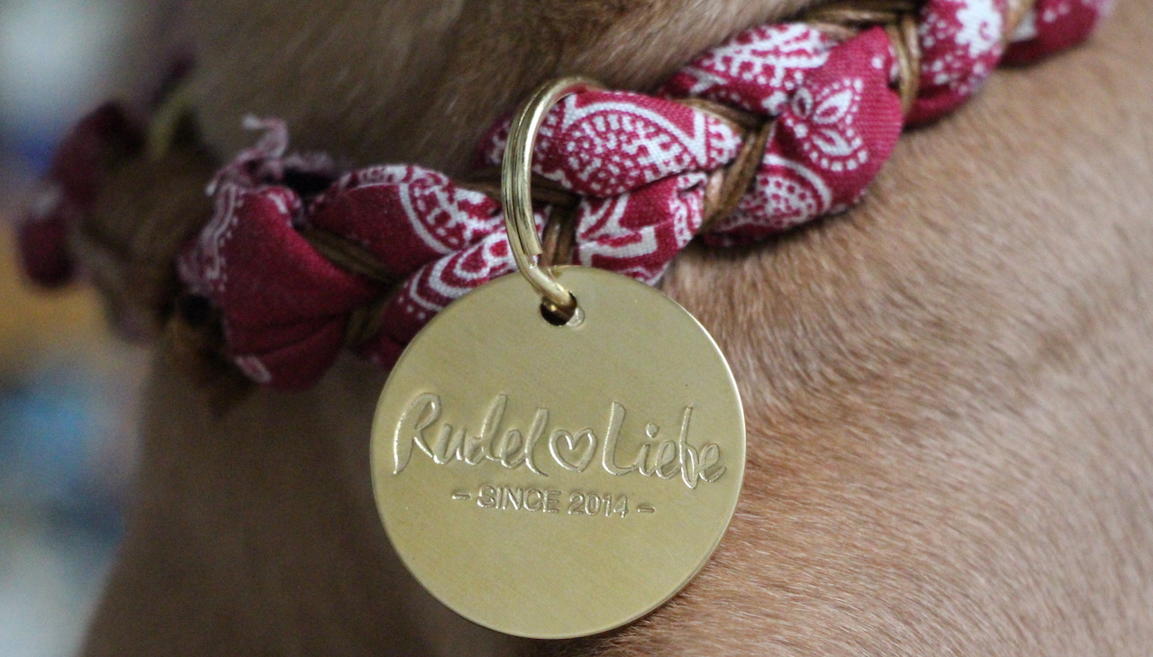 Halskette BLOOM Rudelliebe Hundeblog miDoggy