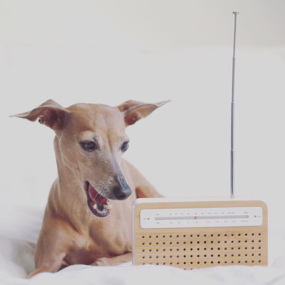 Mittwoch: she's got nothing on...but the radio.