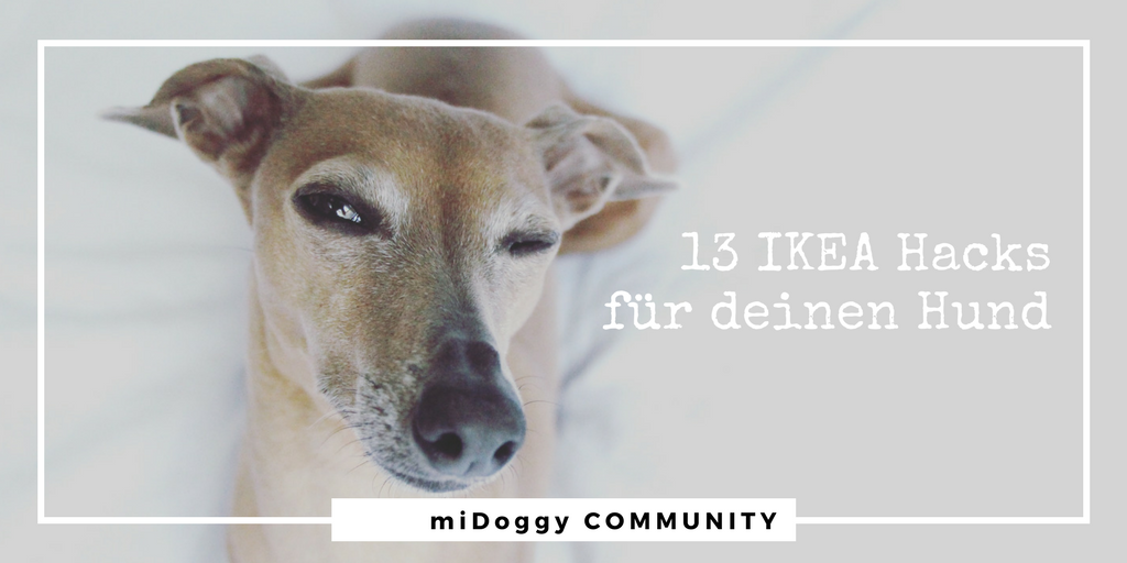 13 IKEA Hacks für Deinen Hund